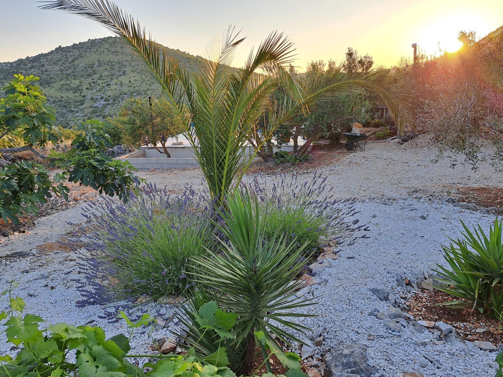 Villa Casa Mia Gornji Seget Exteriér fotografie