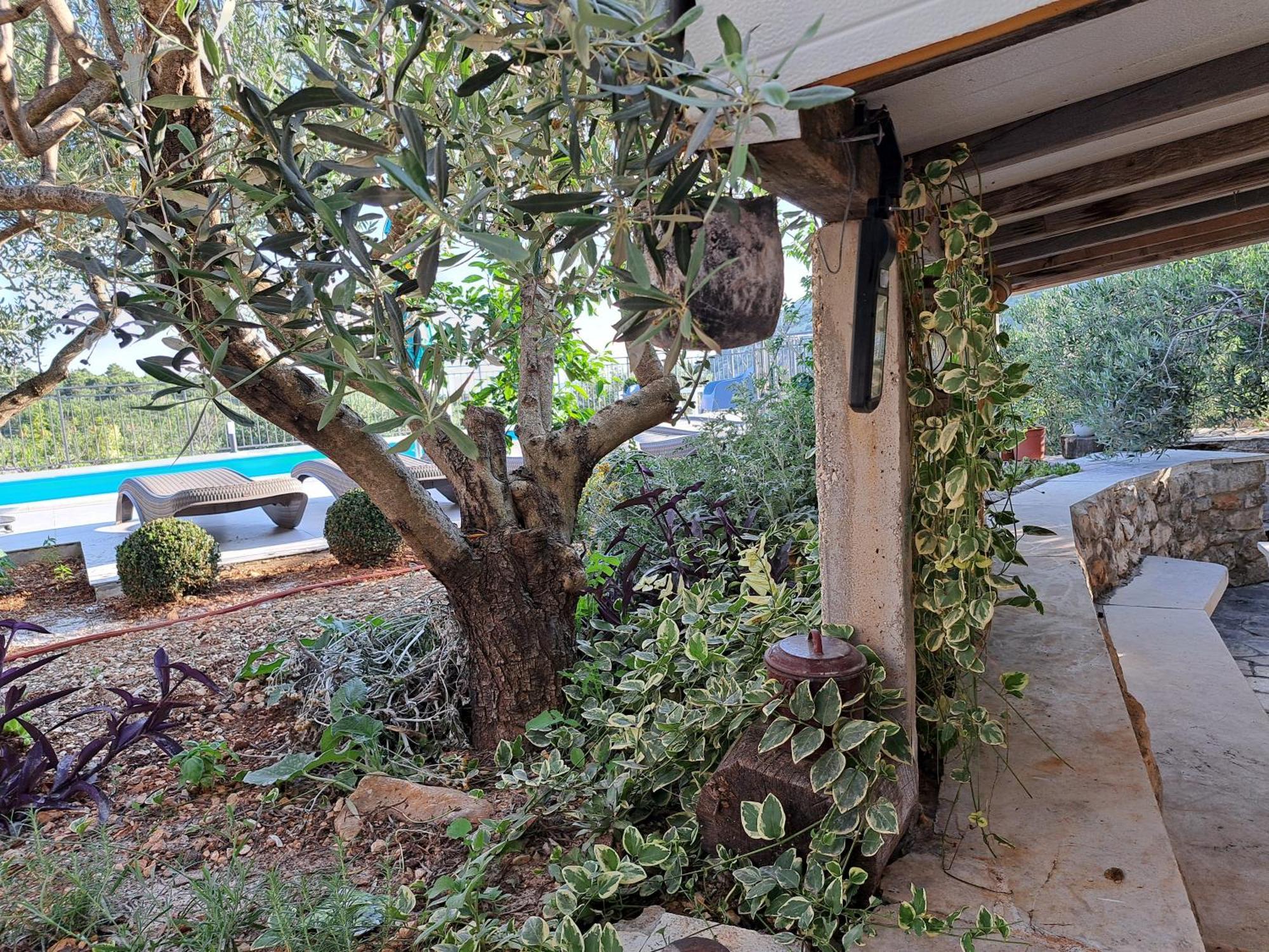 Villa Casa Mia Gornji Seget Exteriér fotografie